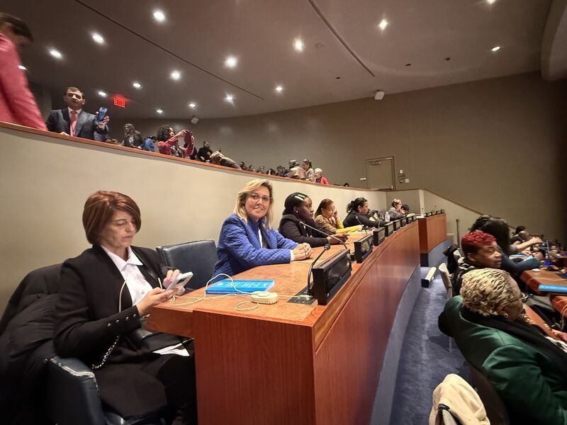 Session at the UN Commission on the Status of Women